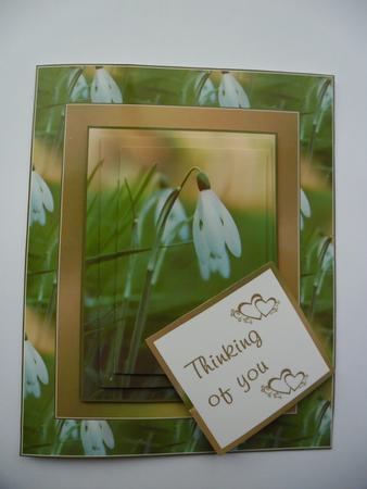Sympathy Snowdrop by Janet Broughton