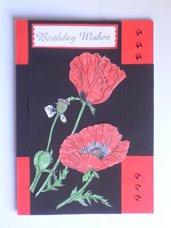 Poppy Digital Stamps by Janet Broughton
