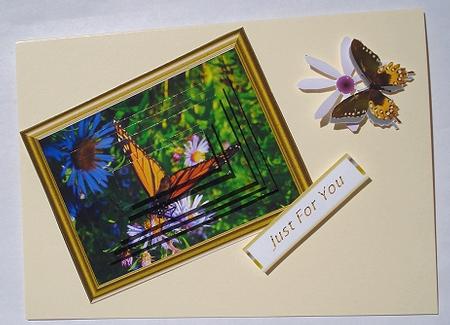 Floral Butterfly by Janet Maureen Harvey