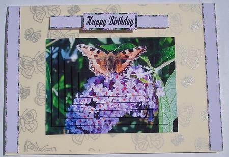 Small Tortoiseshell on a Buddleia Pyramid Card by Janet Maureen Harvey
