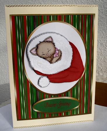Cat in the Hat by Janet Maureen Harvey