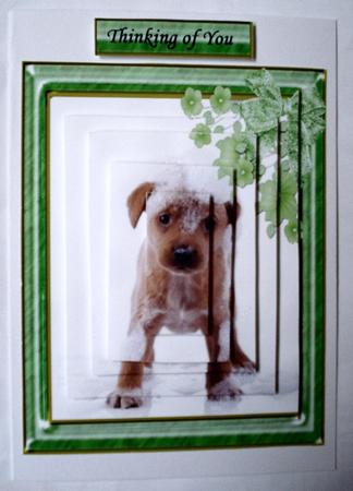 Bubbly Puppy by Janet Maureen Harvey