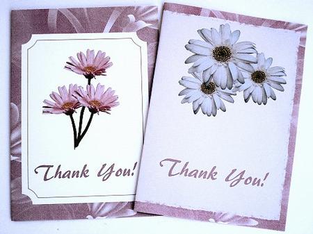 Thank-you Notelets by Janet Maureen Harvey