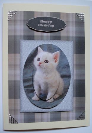 Cute Kitty by Janet Maureen Harvey