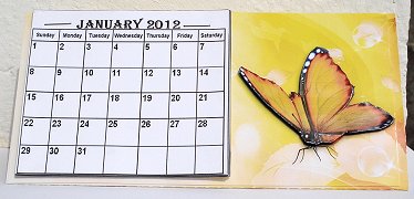 Orange Butterfly Desktop Calendar Base by Janet Maureen Harvey