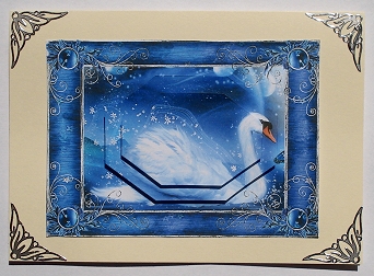 Swan 7x5 Quick Card Featured Gallery Photo