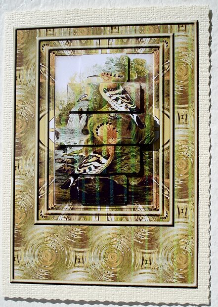Hoopoe Birds 1 by Janet Maureen Harvey
