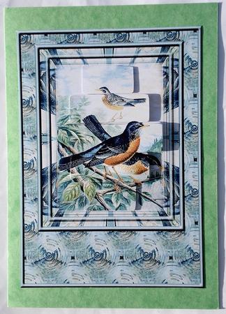 American Robins 2 by Janet Maureen Harvey