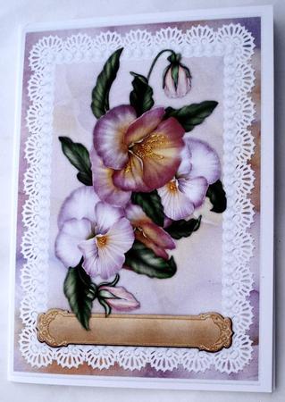 Pansy - Print & Fold by Janet Maureen Harvey