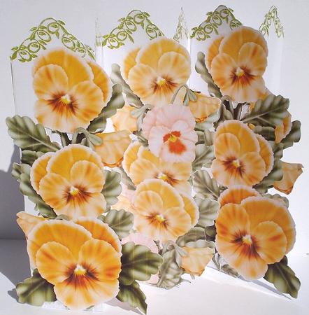 Concertina Orange Pansy Over the Edge Card Kit and Bookmarks by Janet Maureen Harvey