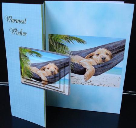Meet Ria, It is a Dogs Life by Janet Maureen Harvey