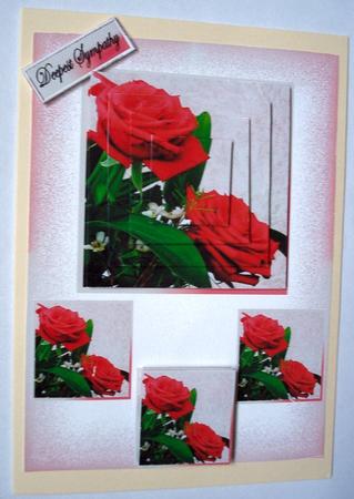 2 Red Roses by Janet Maureen Harvey