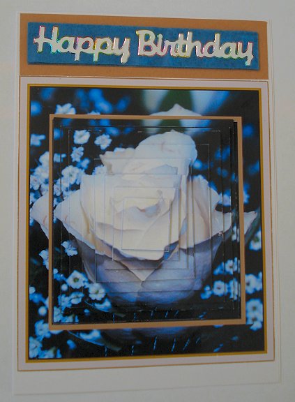 Blue Rose Harmony by Janet Maureen Harvey