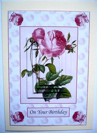 A Pink Rose or Two by Janet Maureen Harvey