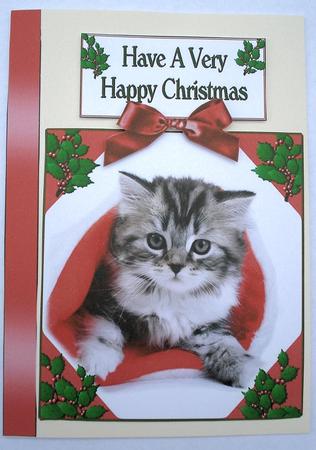 Christmas Kitten in Christmas Hat by Janet Maureen Harvey
