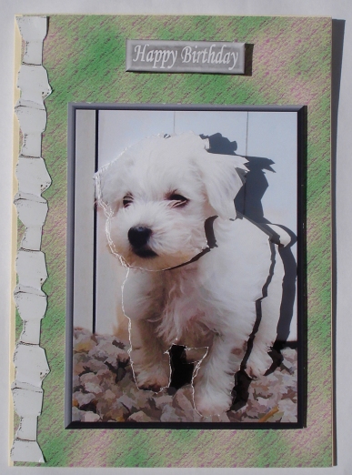 Westie Puppy 3D Decoupage by Janet Maureen Harvey