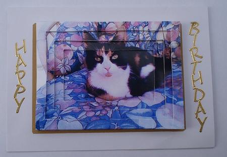 Our Katy the Tortoishell & White Kitten Cat by Janet Maureen Harvey
