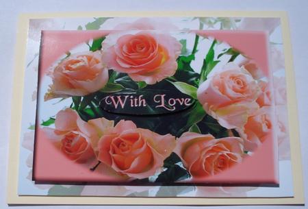 Peach Roses by Janet Maureen Harvey