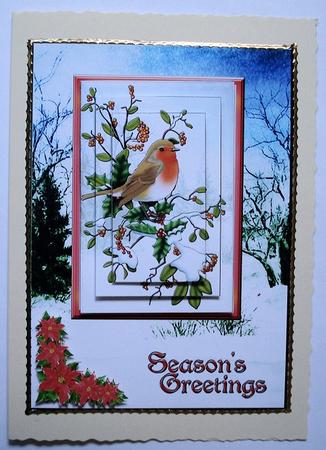 Season's Greeting Robin by Janet Maureen Harvey