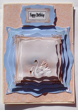 Framed Swans 1 by Janet Maureen Harvey
