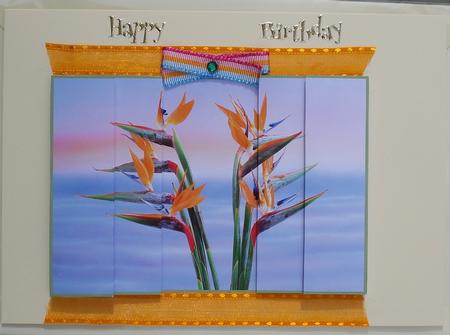Stunning Hawaiian Bird of Paradise Flowers Side Stacker by Janet Maureen Harvey