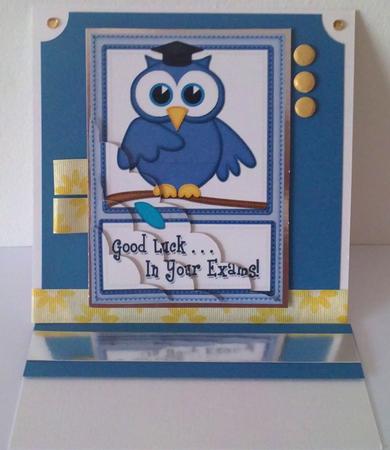 A5 Wise Owl Exam Good Luck Felties Scallop Side Stacker by Janet Savage