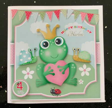 Hoppy Birthday Mini Kit With ages 1 to 7 yrs by Janet Roberts