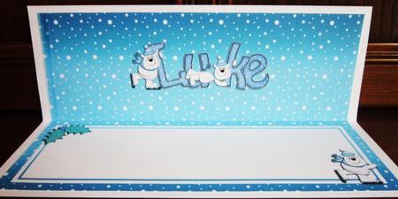 Xmas Luke Matching Large Dl Insert by Janette Ellison