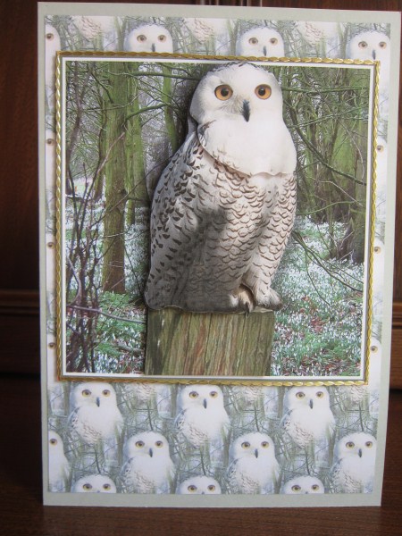 Snowy Owl 3D Decoupage by Janette Ellison