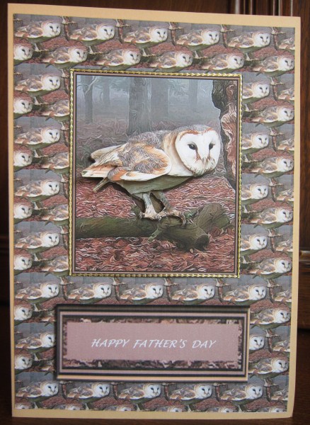 Barn Owl Woodland Scene 3D Decoupage & Background by Janette Ellison
