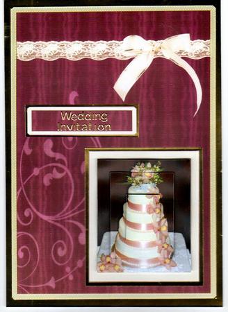 Cake Lace & Bows by Janette Thom