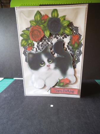 Kitty with Red Roses on Black Lace Heart by Jan Fisher