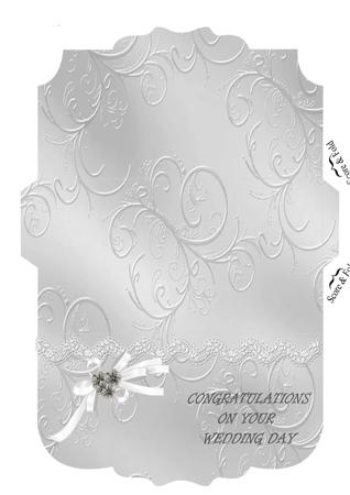 T015 Money Holder or Wallet 3 *PNG* by Jan Fisher