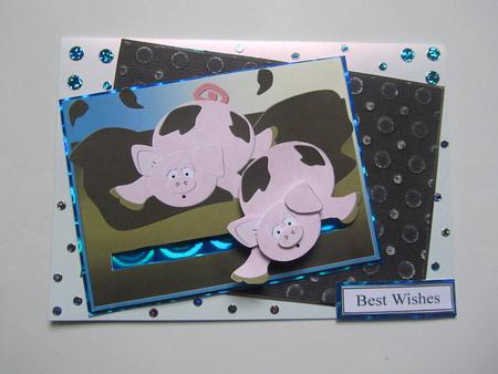 Piggy Penny Slider - Happy as a Pig in Mud by Janice Saunders