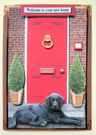 Black Labrador Retriever with a Red Door by Janice Saunders