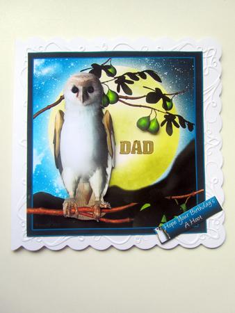 Fantasy Owl Birthday Greeting Quick Card by Janice Saunders