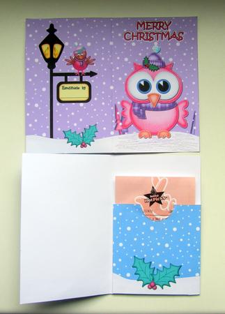 Xmas Little Hoot Owl Lottery Wallet Card by Janice Saunders