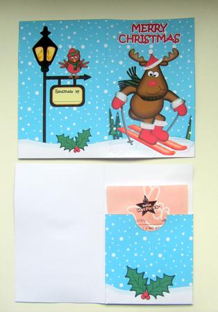 Xmas Skiing Rudolph Lottery Wallet Card by Janice Saunders