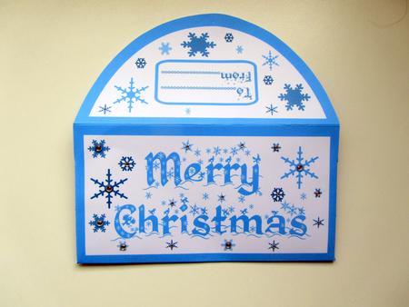 Money Wallet - Snowflakes (pale Blue) by Janice Saunders