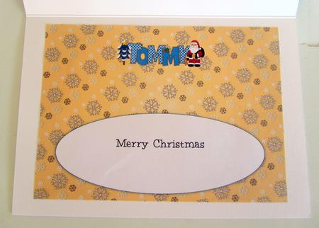 Santa Tommy Large Dl Insert by Janice Saunders