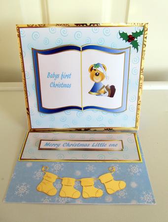 Baby Bears First Christmas by Janice Saunders