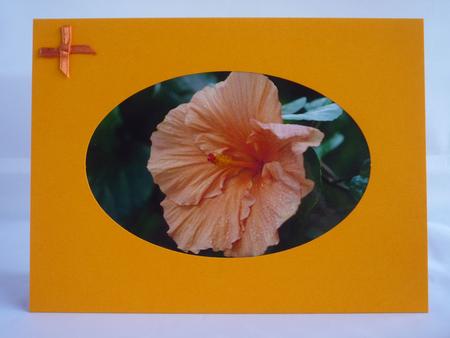 Orange Hibiscus by Diamond Crafts