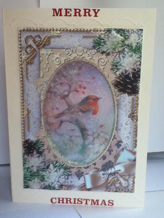 Robin 1 Snow 7x5in Picture and Shaker Frame by Jayne Francis
