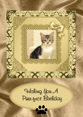 8 x 8 Metallic Lace and Bow Card Front by Jayne Smith