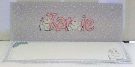 Xmas Katie Matching Large Dl Insert by Jayne Smith