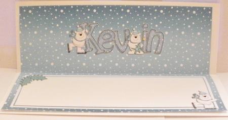 Xmas Kevin Matching Large Dl Insert by Jayne Smith