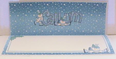 Xmas Callum Matching Large Dl Insert by Jayne Smith