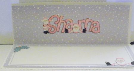 Xmas Sharna Matching Large Dl Insert by Jayne Smith