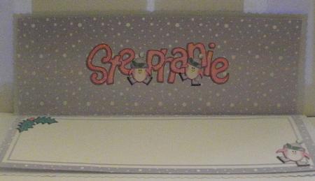 Xmas Stephanie Matching Large Dl Insert by Jayne Smith