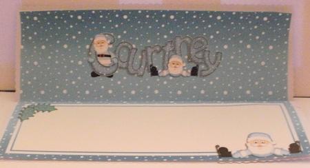 Xmas Courtney Matching Large Dl Insert by Jayne Smith